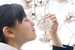 神奈川県小田原市の学習塾・個別指導「ナビ個別指導学院鴨宮校」の詳細解説